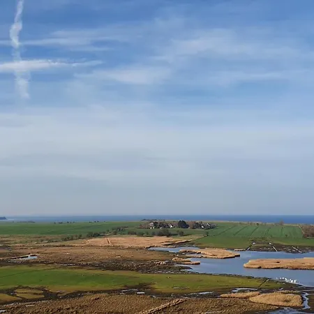 Strandlaeufer G-13-2 *